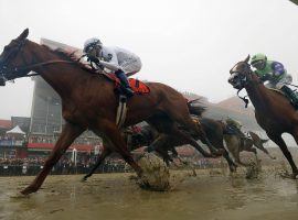 Justify won the second leg of the Triple Crown on Saturday at the Preakness, but only by less than an length. (Image:AP)