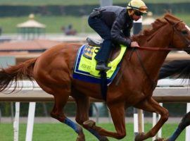 Justify won the Kentucky Derby by more than two lengths and is now the +150 favorite to win the second leg of the Triple Crown the Preakness on May 19. (Image: Getty)