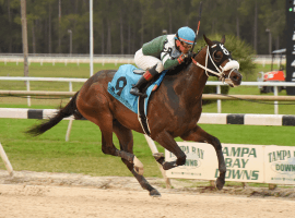 Well Defined doesn't look back to win Davis at Tampa Bay Downs. (Image: SV Photography)