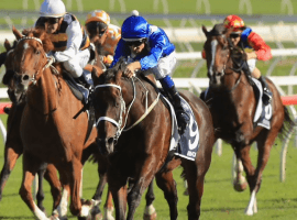 Down Under Wonder Winx winning 2018 Queen Elizabeth Stakes at Royal Randwick.