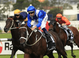 Winx picking 'em up and laying 'em down to win 32nd straight