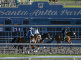 Uncertainty reigns at Santa Anita Park.
Image: (Irfan Khan / Los Angeles Times)