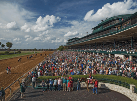 A full house and a full field expected in Saturday's Bluegrass Stakes at Keeneland. (Image: Keeneland Racecourse)