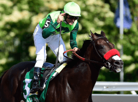 Both One Bad Boy and rider Falvien Prat are grinning after winning the $1 million Queen's Plate Image: (Frank Gunn-Canadian Press )