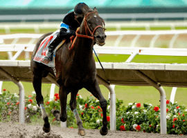 Here's Shared Belief winning the 2014 Pacific Classic at Del Mar -- just one of 36 stakes wins for Jerry Hollendorfer at the track now barring him. (Image: DMTC)