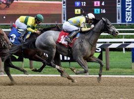 Enforceable is the 7/2 favorite in a packed Louisiana Derby field. But can he beat the traffic with his closer style? (Image: Coglianese Photos)