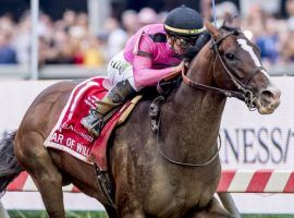 His Preakness Stakes win showed why War of Will was one of the most talented and unpredictable 3-year-olds last year. He's back on turf as one of the favorites in the Grade 1 Shoemaker Mile at Santa Anita. (Image: Eclipse Sportswire)