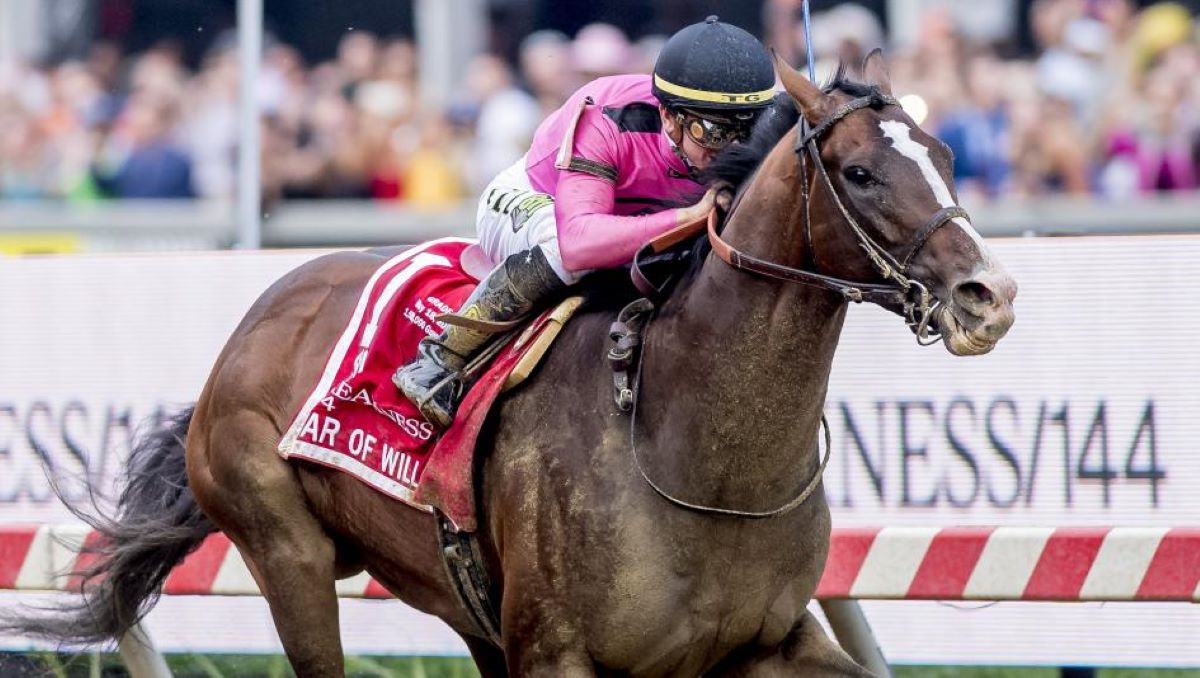 War of Will winning 2019 Preakness