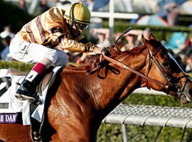 Wise Dan won 23 races and finished second twice in 31 starts. (Image: SI.com)