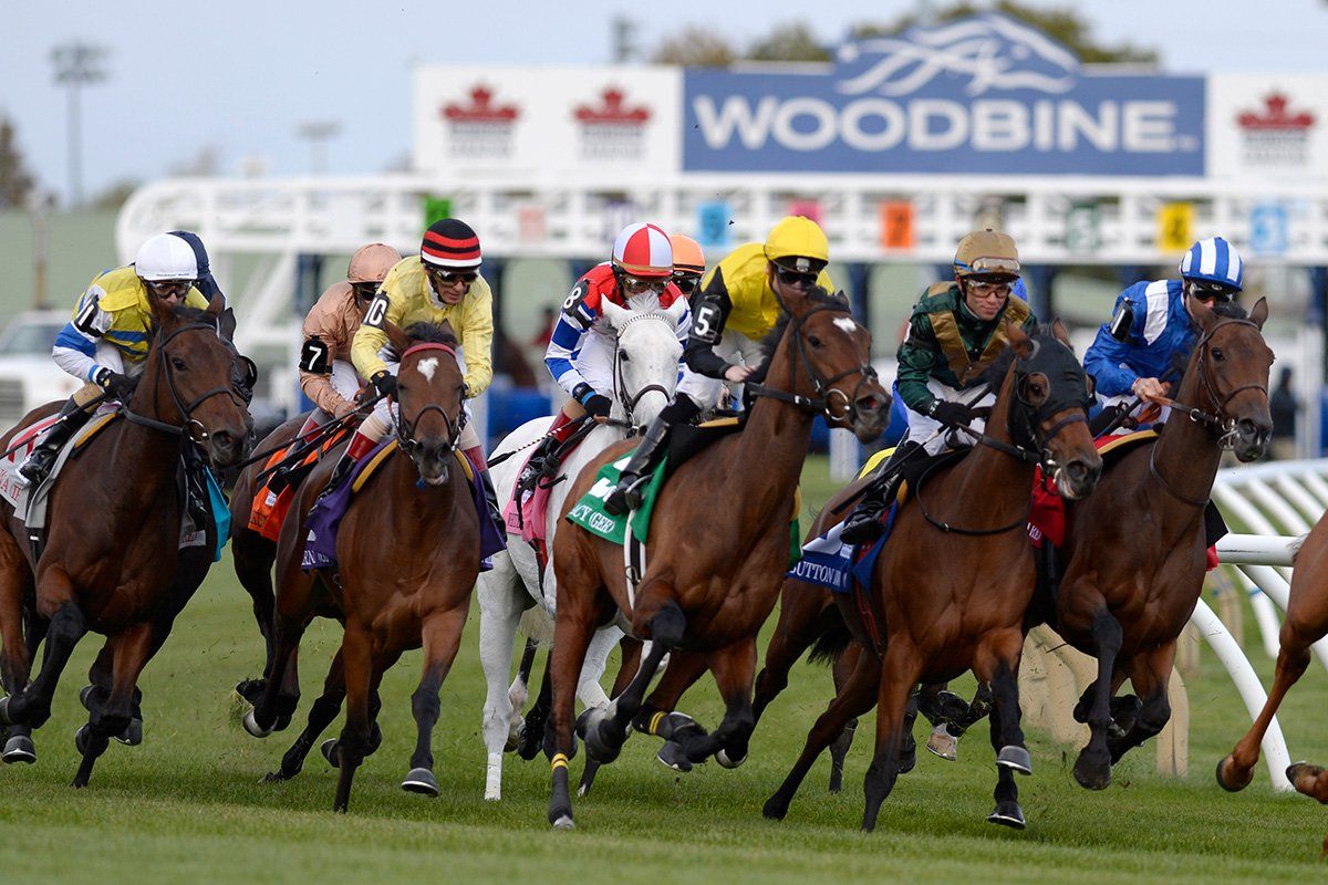 Woodbine Reopens