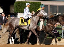 At one time, Gouverneur Morris was a top-10 Kentucky Derby prospect. A bout of colitis made him the Derby Trail's latest casualty. (Image: Eclipse Sportswire)