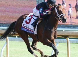 Art Collector follows his Blue Grass Stakes victory with the Ellis Park Derby Aug. 9. (Image: Coady Photography)