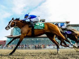 The 2019 Louisiana Derby was one of By My Standards five wins in 10 career races. He shoots for No. 6 in Saturday's Whitney Stakes at Saratoga. (Image: Scott Serio/Eclipse Sportswire