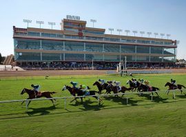 Lone Star Park returns to the racing scene after a two-week hiatus due to the coronavirus. (Image: NTRA)