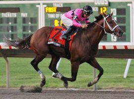 Maximum Security survived an inquiry to win last year's Haskell Invitational. He returns to the gate for the first time in five months at Saturday's Grade 2 San Diego Handicap at Del Mar. (Image: Equi-Photo)