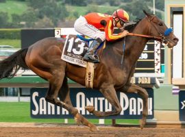 McKinzie, seen here winning the seven-furlong Malibu Stakes, will run the six-furlong Bing Crosby Stakes at Del Mar. It is the shortest race of his career. (Image: Benoit Photo)