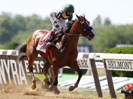 Gamine may be the best 3-year-old filly in North America. Bettors treat her as such, making her th 3/5 favorite for Saturday's Test Stakes at Saratoga. (Image: Al Bello/Getty)