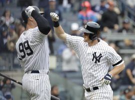 Aaron Judge and DJ LeMahieu celebrate a HR in Yankee Stadium last season. (Image: Julio Cortez/AP)