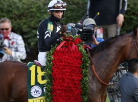 Authentic and John Velazquez found the Kentucky Derby winner's circle. They are the 9/5 favorite to find the Pimlico winner's circle in Saturday's Preakness Stakes. (Image: MyRacehorse.com)