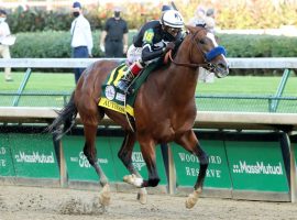 Kentucky Derby winner Authentic opens as the +225 favorite on Circa Sports Preakness futures board. (Image: MyRacehorse/Coady Photography)