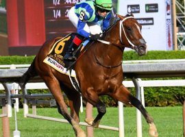 Jackie's Warrior's decisive win in the Hopeful Stakes made him the 4/1 early favorite to win the Breeders' Cup Juvenile. He's 33/1 to win the 2021 Kentucky Derby. (Image? Mike Kane/Special to the Albany Times Union)