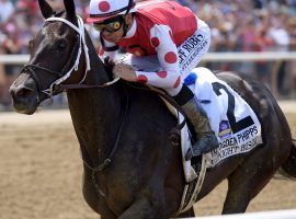 Midnight Bisou's stellar career is dotted with victories, such as this one in the 2019 Grade 1 Ogden Phipps. She is one of four champion mares headed for Fasig-Tipton's November Sale. (Image: Joe Labozzetta/NYRA)