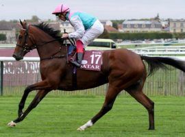 Enable used the September Stakes as a tune-up for her fourth consecutive Arc de Triomphe. She's going for her third victory in those four Sunday at ParisLongchamp. (Image: Eclipse Sportswire)