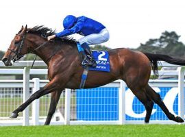 Ghaiyyath's 8 1/2-length beatdown of his rivals in February's Millennium Stakes was one of four 2020 victories. The No. 1-ranked turf horse in the world retired Monday. (Image: Godolphin)