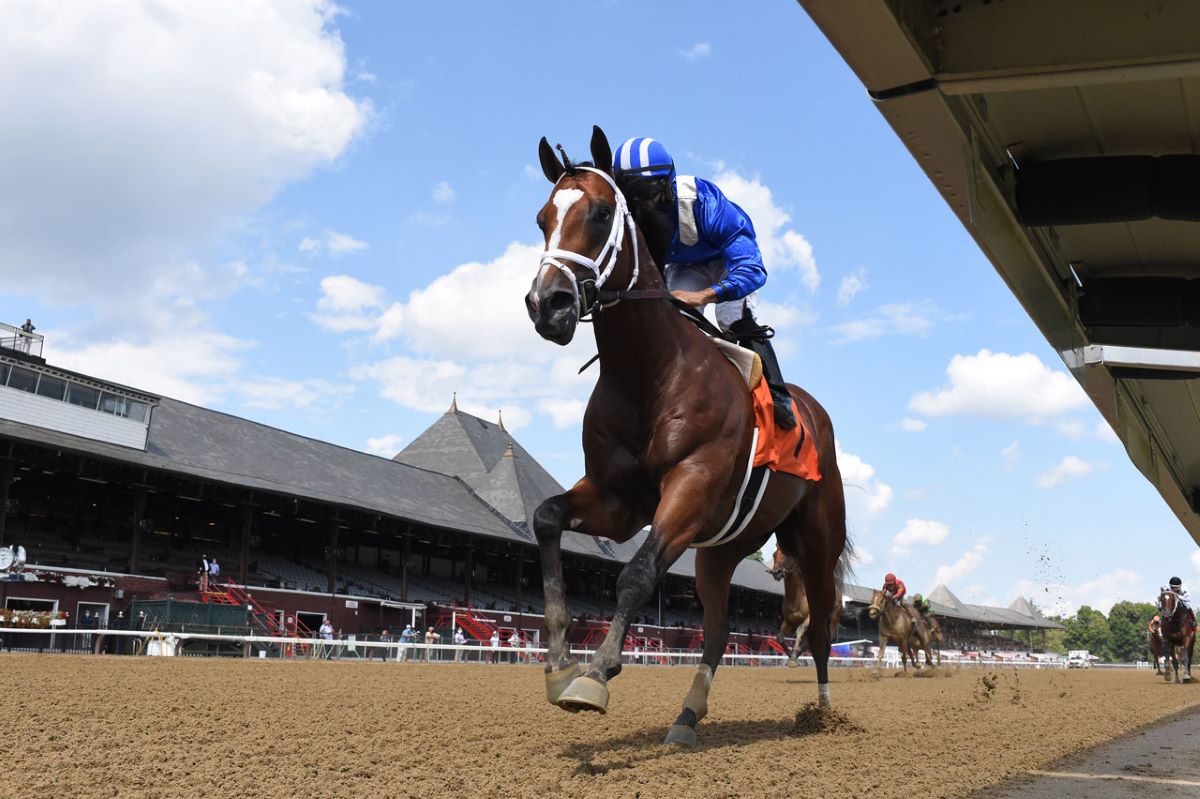 Mutasaabeq-BC Juvenile Turf Speed