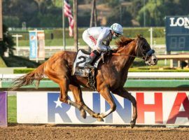 Improbable stands out as a 5/2 favorite in what is one of the deepest Breeders' Cup Classic fields in the history of the event. (Image: AP)