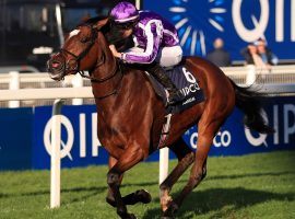 Magical is a worthy 5/2 favorite to put stellar trainer Aidan O'Brien atop the Breeders' Cup Turf mountain. (Image: Simon Cooper/PA Wire)