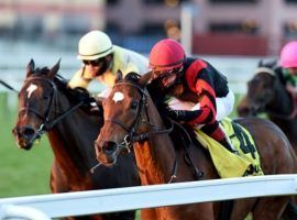 Mutamakina (4) edged Traipsing to win the Long Island Stakes. Both horses are trained by Christophe Clement, who won the Aqueduct training title. (Image: Chelsea Durand/Coglianese Photo)