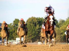 This image of Tiz the Law pulling away from his foes in the stretch played out for the sixth and final time in August's Travers Stakes. The four-time Grade 1 winner and Belmont Stakes champion suddenly retired Wednesday after suffering bone bruses in his leg. (Image: Spencer Tulis/The Saratogian)