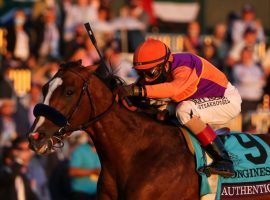 Authentic's dynamic victory in the Breeders' Cup Classic earned him the No. 2 spot on Longines 2020 World Racing Awards. (Image: Breeders' Cup)