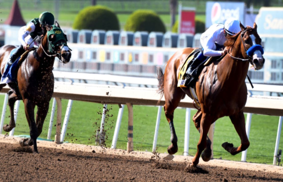 Justify 2018 SA Derby Morning Line