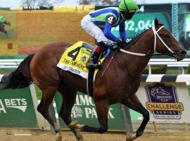 Jackie's Warrior's victory in last fall's Champagne Stakes staked him as the top Kentucky Derby prospect. But two-turns proved a bridge too far for the colt, who will bypass the Derby for an undercard event. (Image: Janet Garaguso/Coglianese Photo)