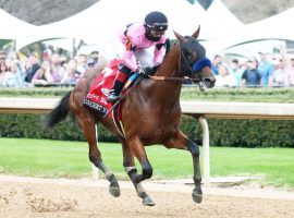 Concert Tour and sizzling rider Joel Rosario come into the Grade 1 Arkansas Derby unbeaten in three races, including this 4 3/4-length victory in last month's Rebel Stakes. (Image: Coady Photography)