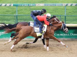 Dynamic One, seen here working out at Churchill Downs last Friday, is one of trainer Todd Pletcher's four Kentucky Derby entries. (Image: Churchill Downs)