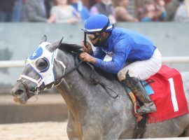 By the time Essential Quality finds the stretch, few of his pursuers are this close. He enters Saturday's Grade 2 Blue Grass Stakes at Keeneland as the 3/5 morning-line favorite. (Image: Coady Photography)