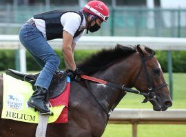 Tampa Bay Derby winner Helium finished eighth in the Kentucky Derby. He's one of the favorites for Saturday's Grade 3 Matt Winn Stakes at Churchill Downs. (Image: Churchill Downs/Coady Photography)