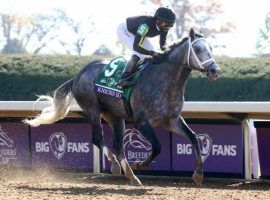 With no Charlatan in the gate, Knicks Go becomes a likely favorite for the Grade 1 Metropolitan Handicap on the June 5 Belmont Stakes undercard. (Image: Coady Photography)