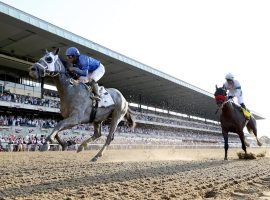 Essential Quality (left) and Hot Rod Charlie separated themselves from their 3-year-old rivals at Saturday's Belmont Stakes. Both came out of the 1 1/2-mile race set for future summer contests. (Image: Al Bello/Getty)