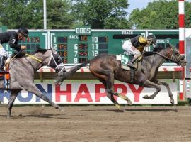 Informative (5) pulled away from favored Ny Traffic to win Monmouth Park's Salvator Mile at 79/1. (Image: Ryan Denver/EQUI-PHOTO)