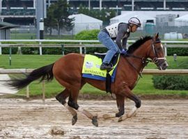 Kentucky Derby runner-up Mandaloun returns from his six-week hiatus for the Listed Pegasus Stakes at Monmouth Park. (Image: Chad B. Harmon)