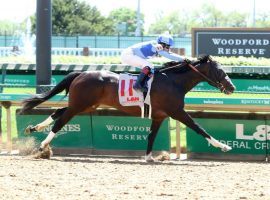 Masqueparade led his last parade by nearly 12 lengths. He is an 8/1 morning-line selection to win Saturday's Grade 3 Ohio Derby. (Image: Coady Photography)