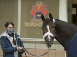 Mighty Heart and trainer Josie Carroll strike a pose before last year's Breeders' Stakes. The reigning Canadian Horse of the Year headlines the seven-horse field in Woodbine's Dominion Day Stakes. (Image: Michael Burns Photo)