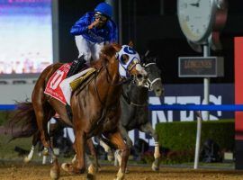 Jockey Luis Saez and Mystic Guide quieted the few critics they had in March's Dubai World Cup. The 4-year-old returns for Saturday's Grade 2 Suburban at Belmont Park. (Image: Mathea Kelly/Dubai Racing Club)