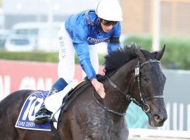 UAE Derby winner Rebel's Romance won't run the Belmont Stakes due to a hind-leg infection. (Image: Coady Photography)