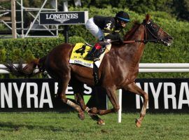 Reigning Champion Turf Male Channel Maker will try giving trainer Bill Mott his record-setting fifth Bowling Green title in this week's finale of the Cross Country Pick 5. (Image: Janet Garaguso/NYRA Photo)