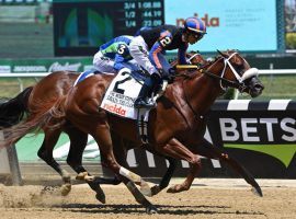 Drain the Clock nipped rival Jackie's Warrior to win the Grade 1 Woody Stephens last month. The two meet again in Sunday's Grade 2 Amsterdam Stakes at Saratoga. (Image: Chris Rahaye/NYRA)